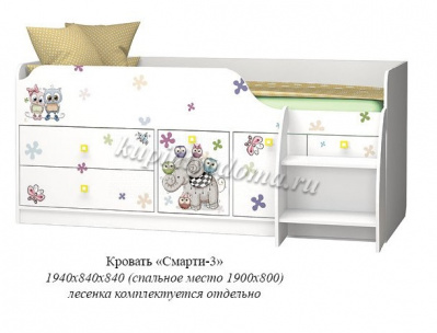 Кровать Смарти-3 с ящиками + Лестница (Белый/Фотопечать)