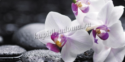 Стол обеденный раздвижной Бриз В1 (Орхидея)